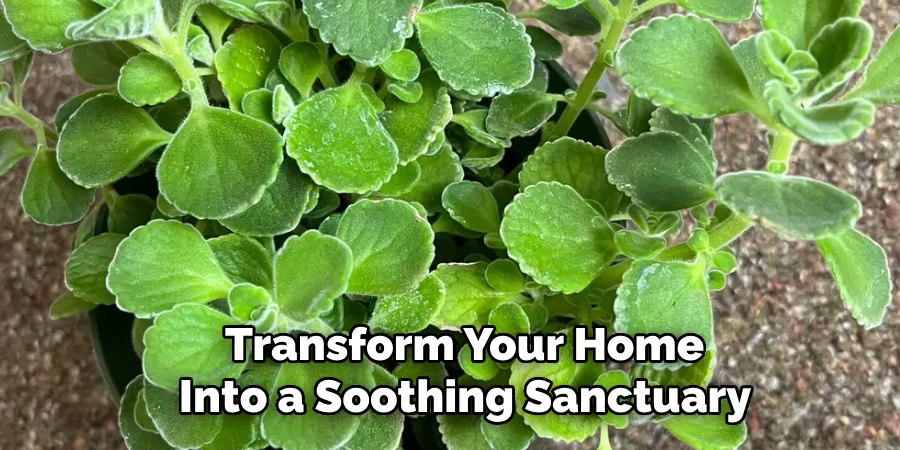 Transform Your Home
Into a Soothing Sanctuary