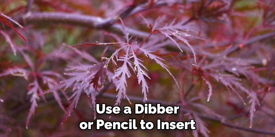 Use a Dibber or Pencil to Insert