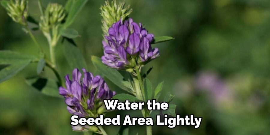 Water the
Seeded Area Lightly
