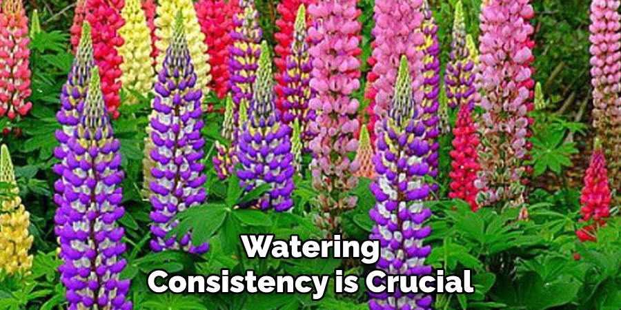 Watering Consistency is Crucial