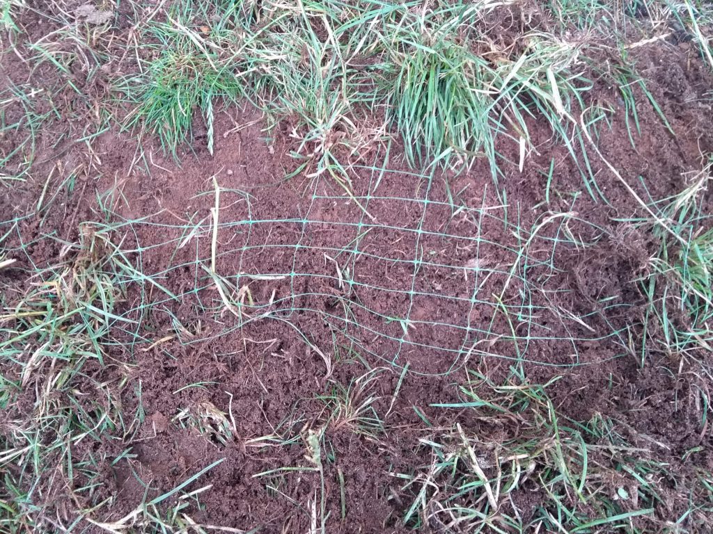 How to Remove Plastic Lawn Netting Step by Step Guide (2024)