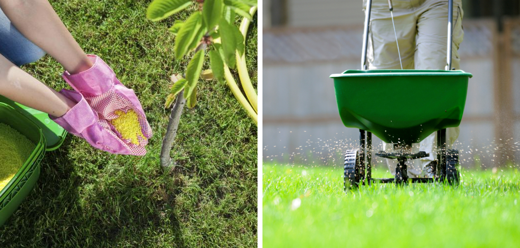How to Add Boron to Lawn