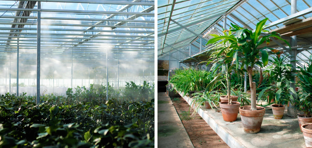 How to Add Humidity to a Greenhouse