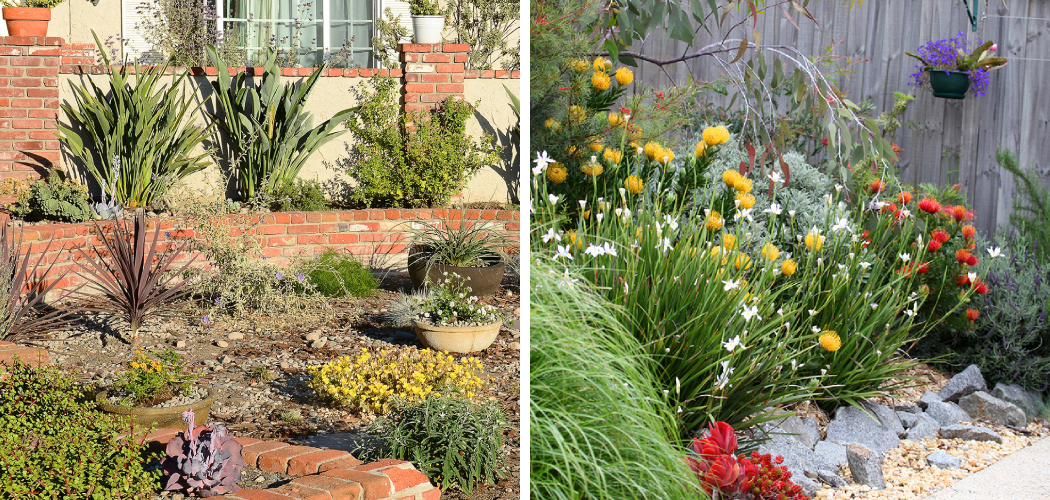 How to Convert Lawn to Native Plants