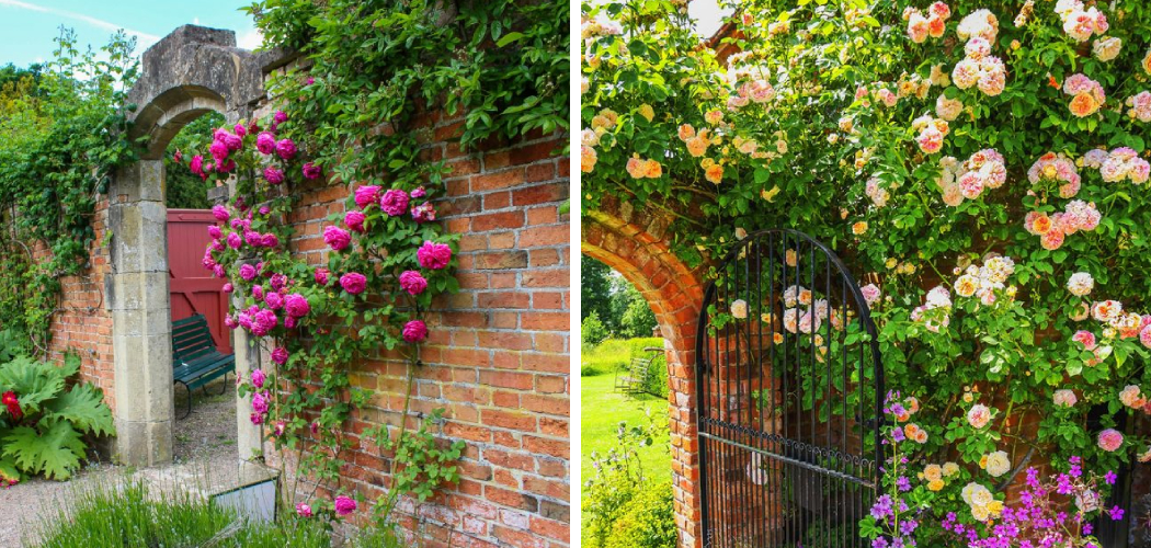 How to Create a Walled Garden