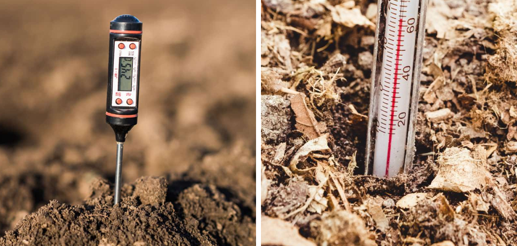 How to Determine Soil Temperature Without Thermometer