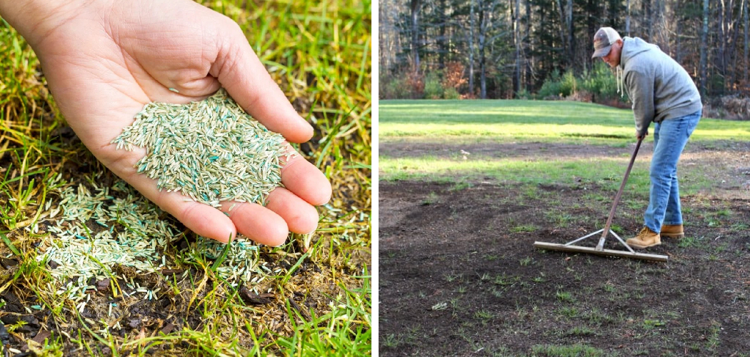 How to Dormant Seed a Lawn