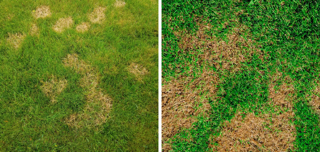 How to Fix Sunken Spots in Lawn