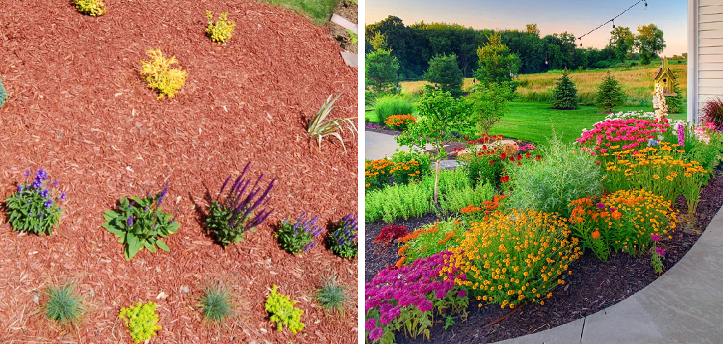 How to Group Plants Landscaping