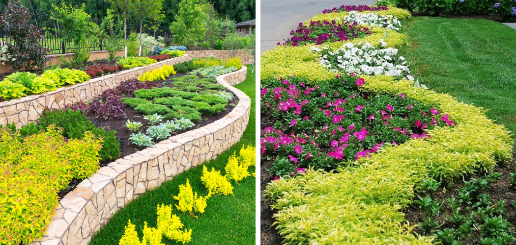 How to Layer Plants in Landscaping