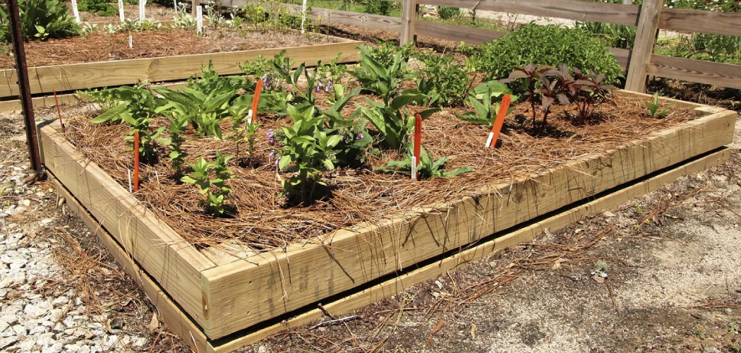How to Level a Raised Garden Bed