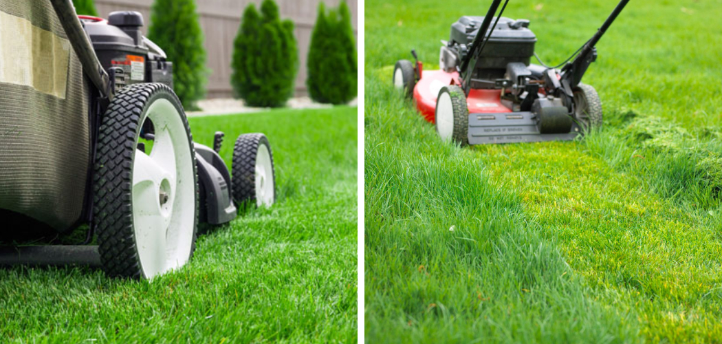 How to Mow Flattened Grass