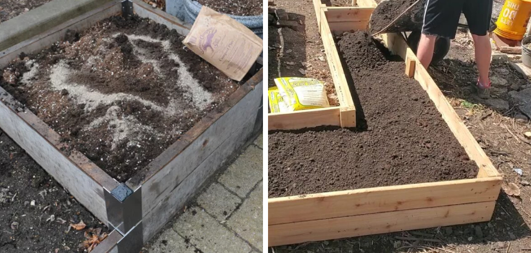 How to Refresh Raised Bed Soil