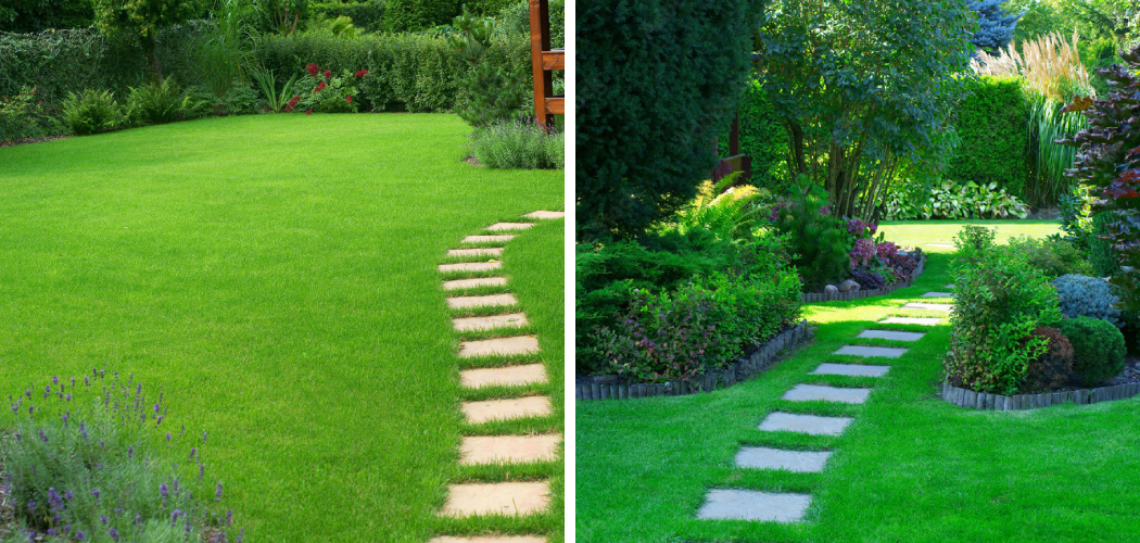 How to Transform Your Lawn