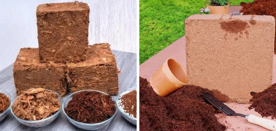 How to Use Coco Coir Bricks