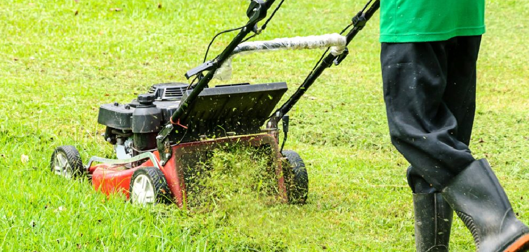 How to Use Lawn Mower Without Bag
