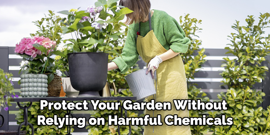 Protect Your Garden Without Relying on Harmful Chemicals
