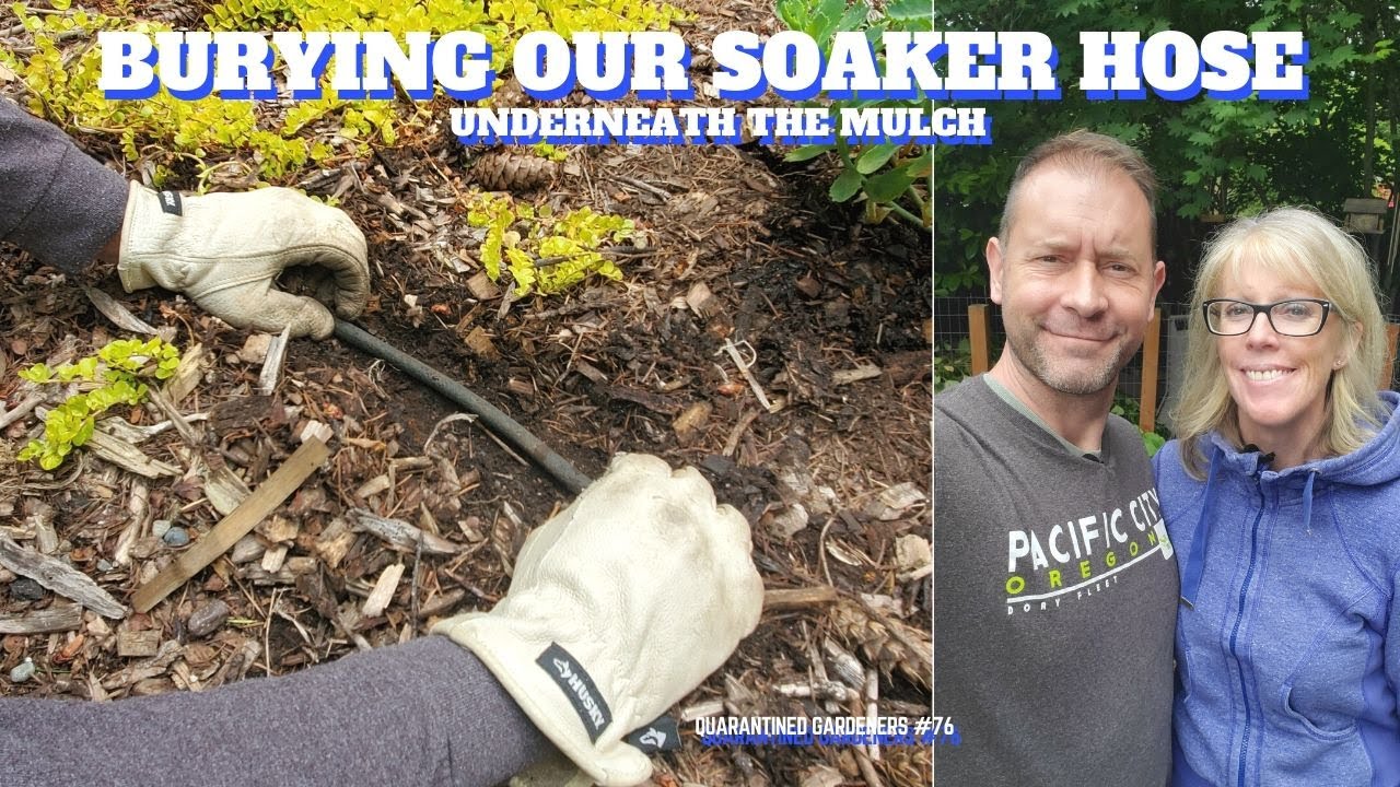 How to Bury Soaker Hose