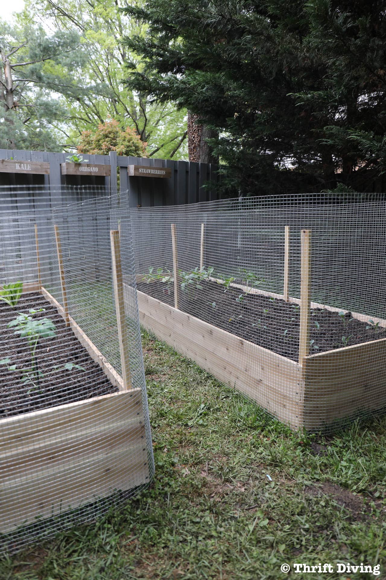 How to Fence a Raised Garden Bed