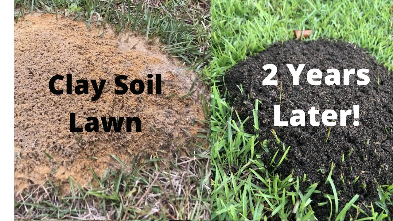 How to Improve Grass on Clay Soil