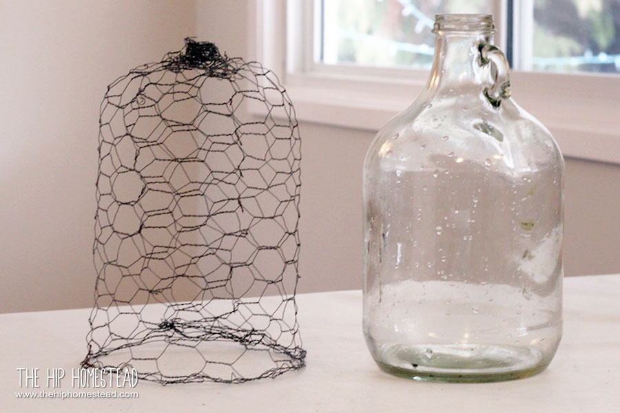 How to Make Chicken Wire Plant Protectors