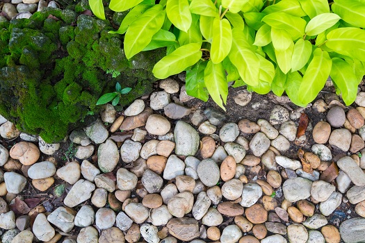How to Make Landscaping Rocks Look Wet