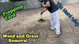 How to Remove Dead Weeds from Lawn