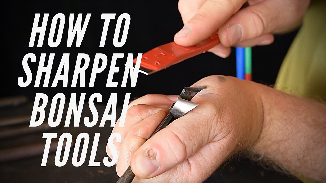 How to Sharpen Bonsai Tools