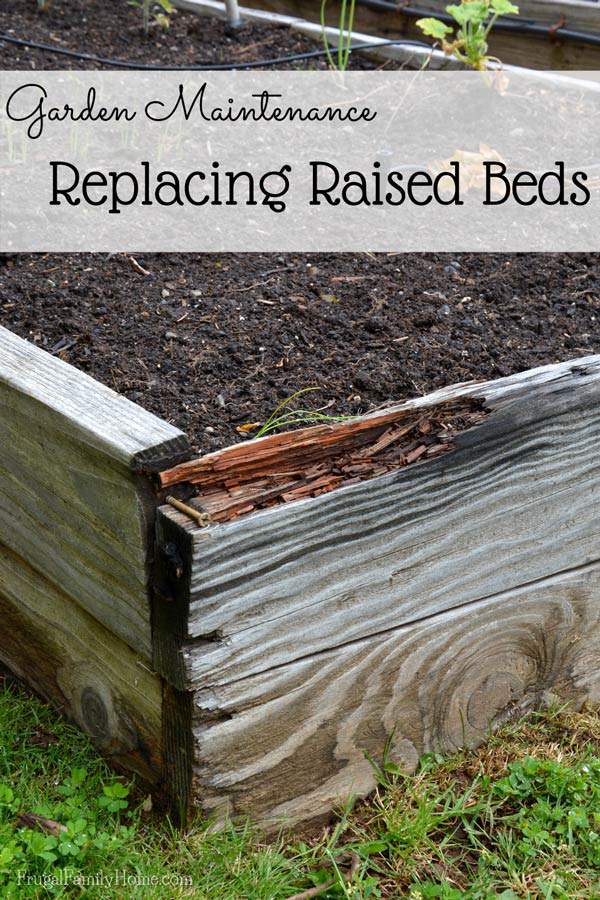 How to Stop Raised Beds Rotting