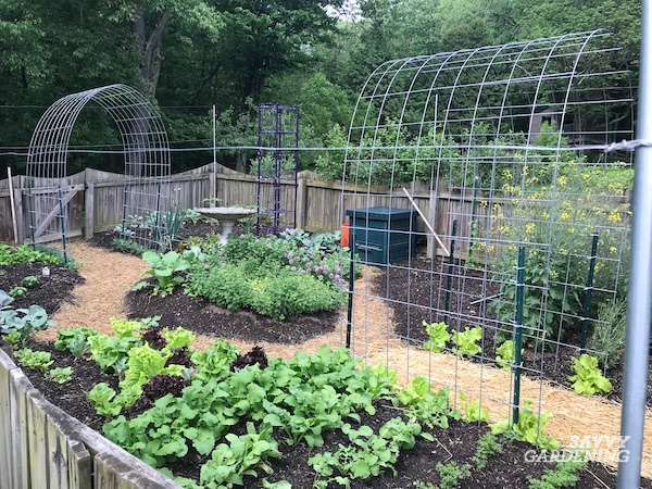 How to Use Cattle Panels in the Garden