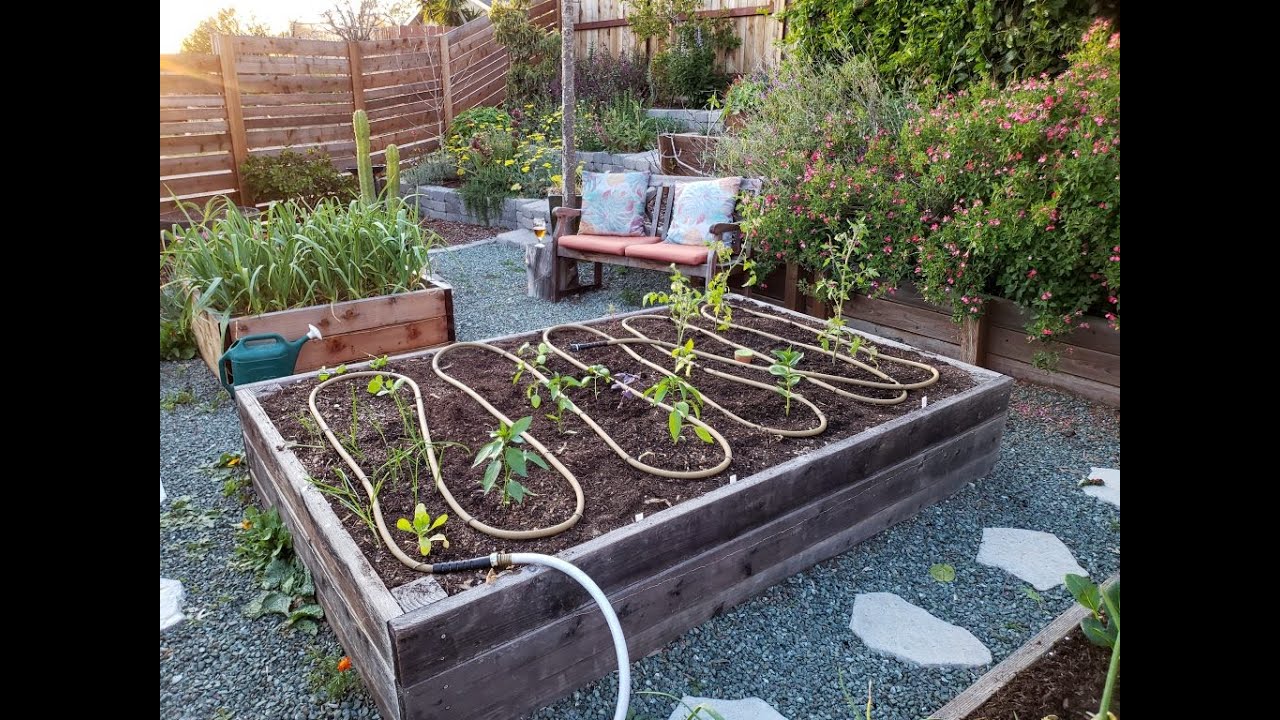 How to Use Soaker Hose in Raised Beds
