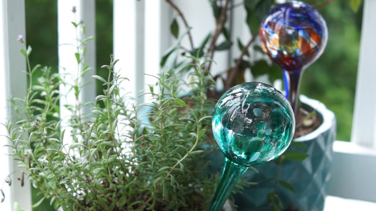 How to Use Watering Globes