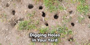 How to Stop Rats from Digging Holes in Yard | 10 Easy Steps