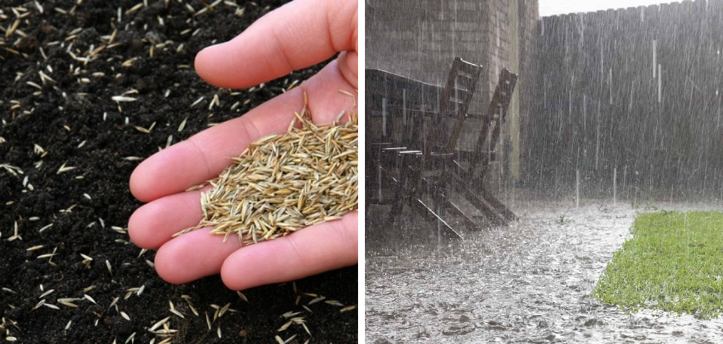 How to Keep Grass Seed from Washing Away