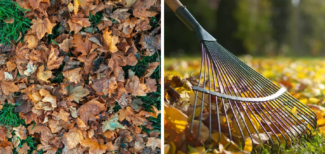 How to Shred Leaves Without a Shredder