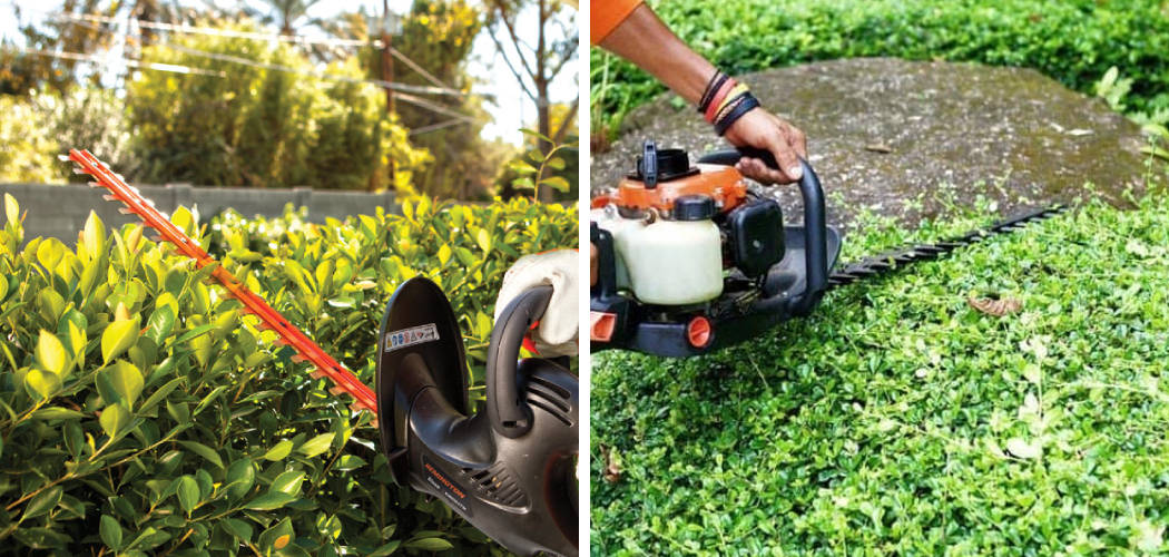 How to Use Hedge Trimmer