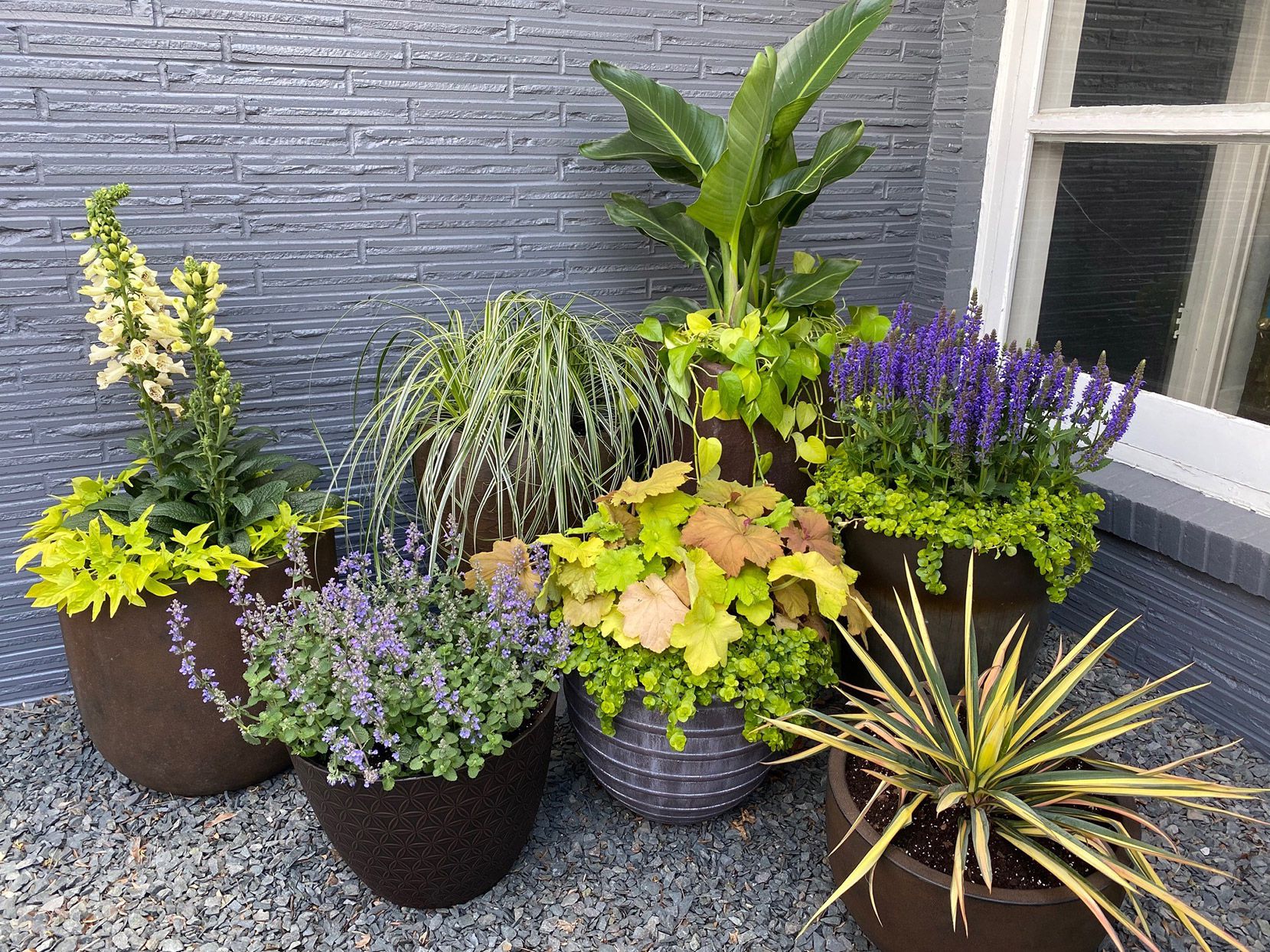 How to Arrange Potted Plants on a Patio