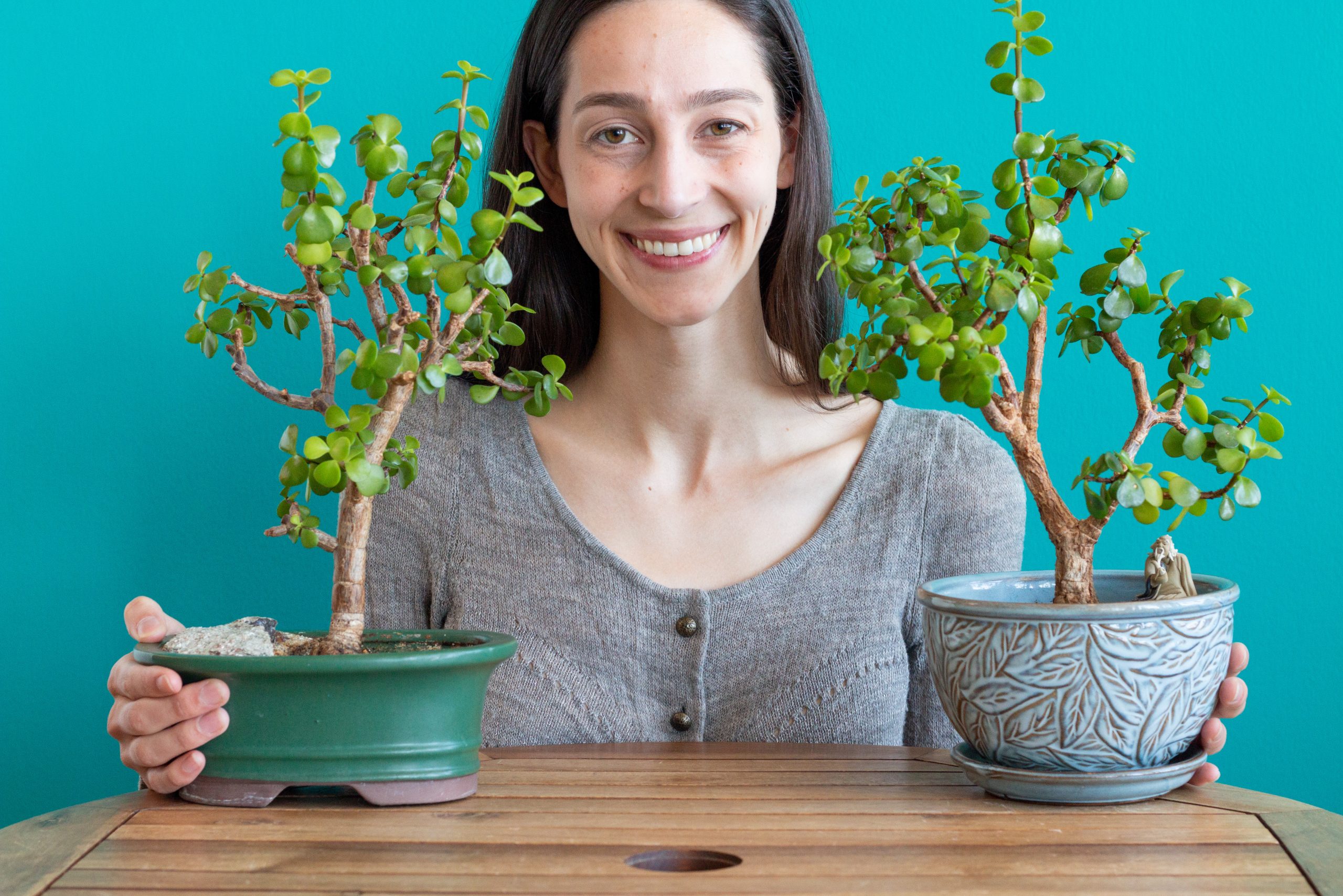How to Bonsai a Jade Plant