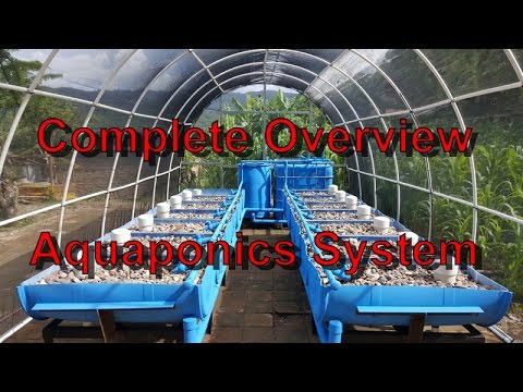 How to Build an Aquaponics Greenhouse