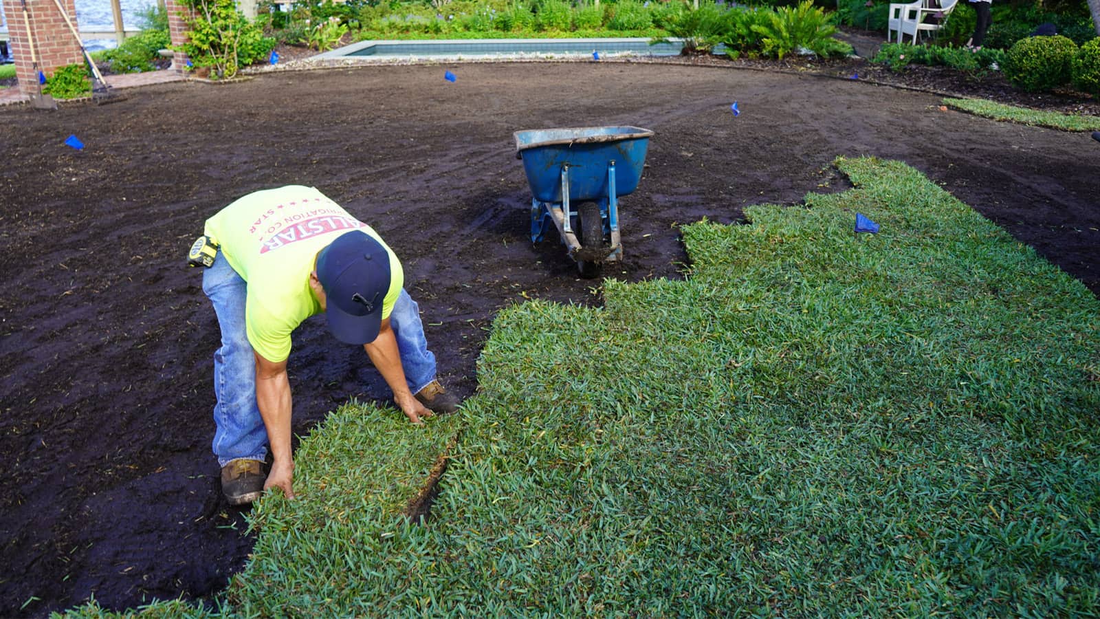 How to Care for New St Augustine Sod