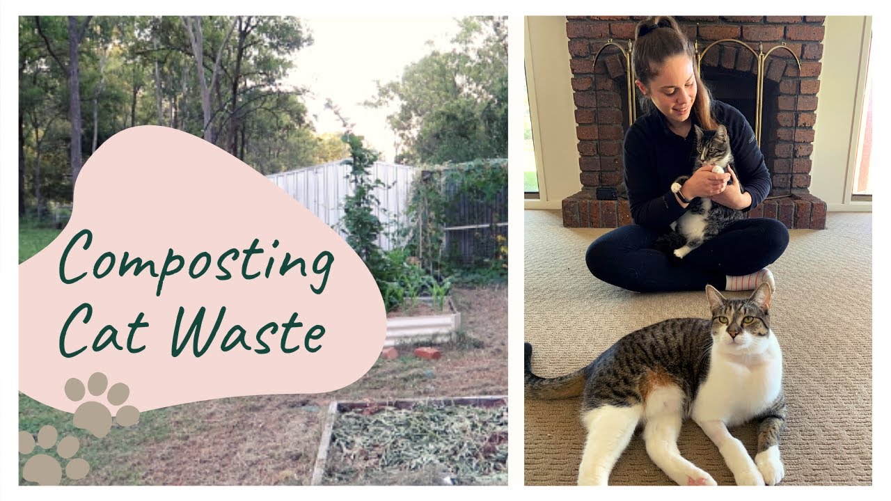 How to Compost Cat Litter