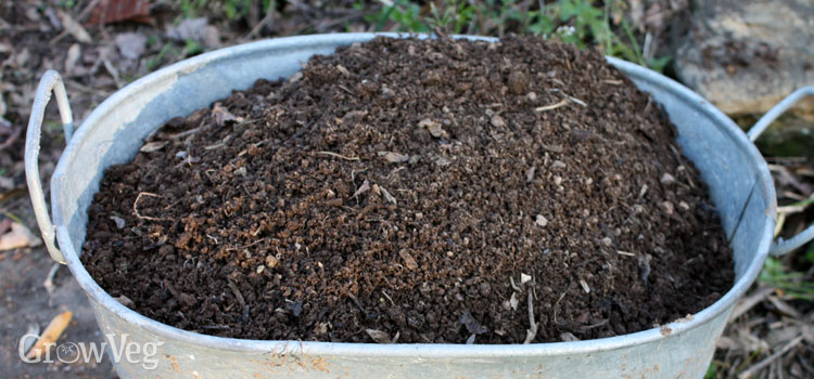 How to Cure Compost