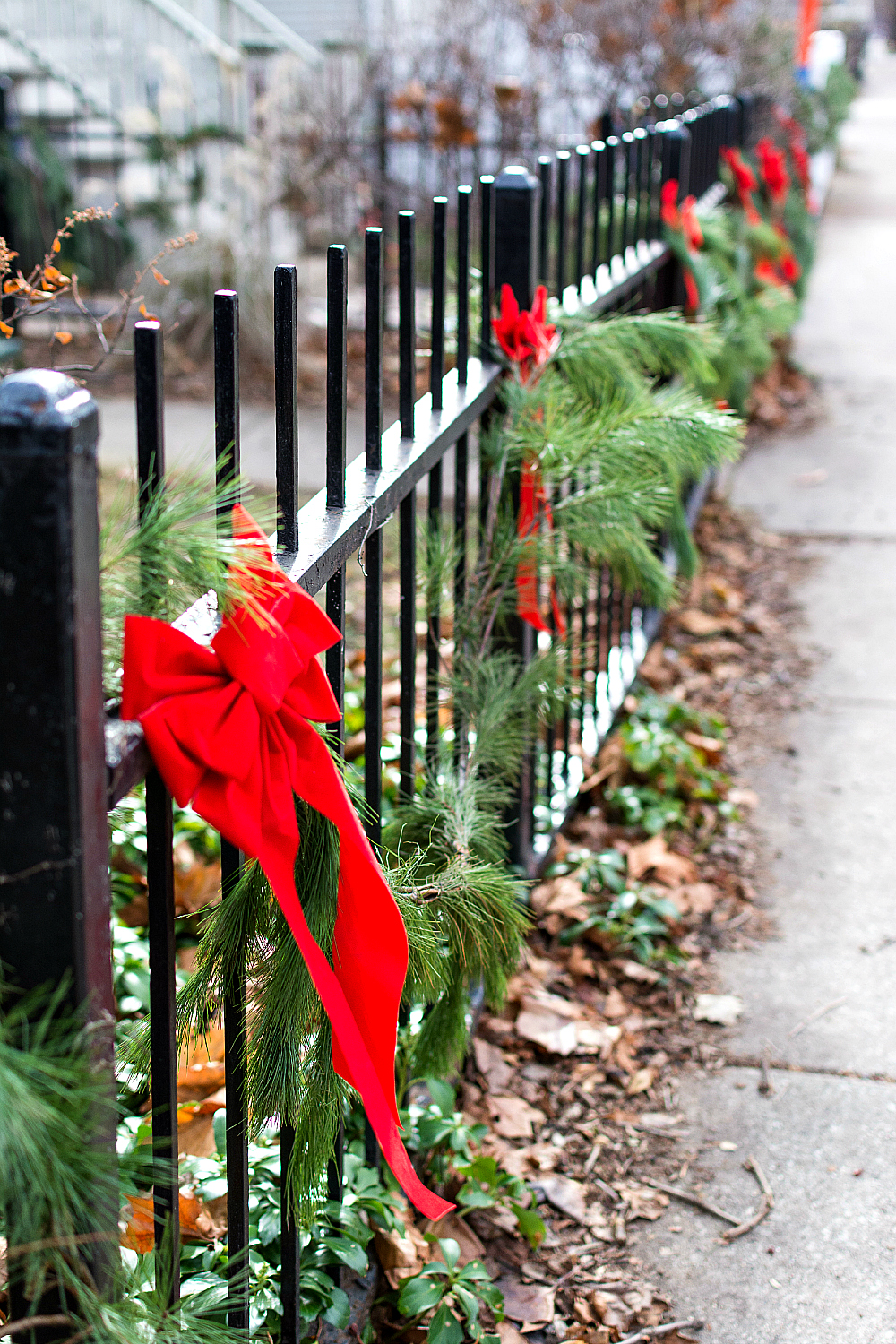 How to Decorate Garden Fence for Christmas