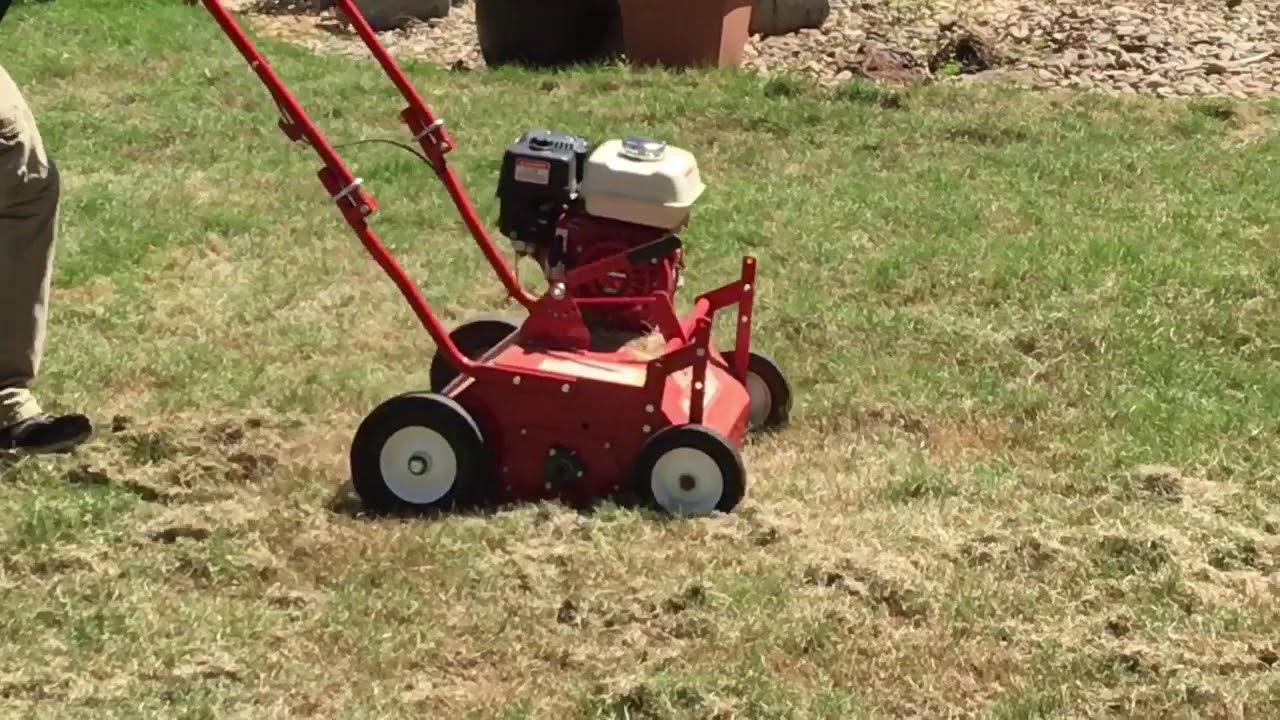 How to Dethatch Zoysia Grass