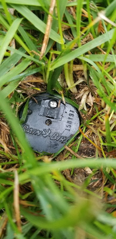 How to Fix a Rainbird Sprinkler Head That Won'T Rotate