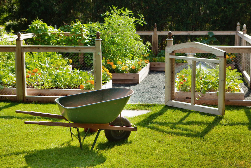 How To Keep Groundhogs Out Of Raised Garden Beds 6 Easy Steps