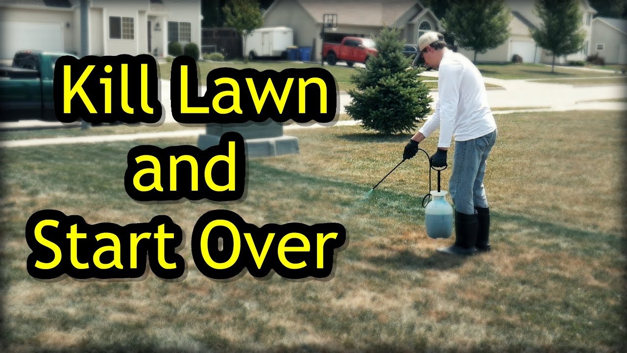 How to Kill Lawn And Start Over