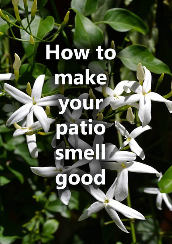 How to Make Backyard Garden Smell Good