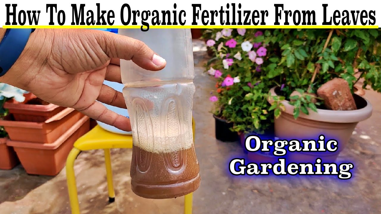 How to Make Liquid Fertilizer from Kitchen Waste