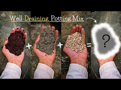 How to Make Potting Soil Drain Better